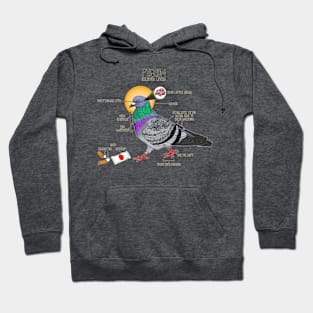 Pigeon[ometry] Hoodie